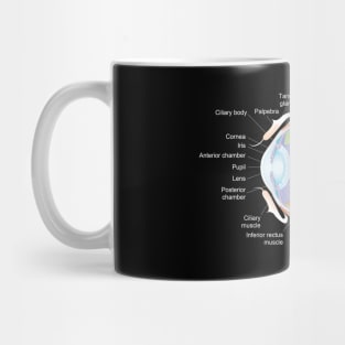 The anatomy of a human eye Mug